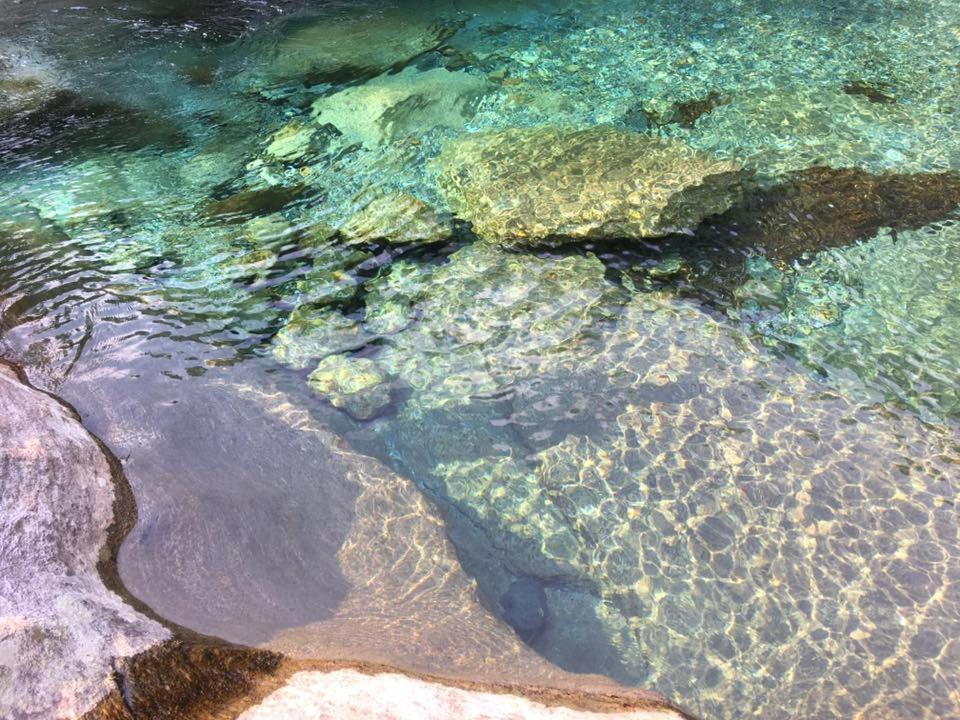 Hotel Pizzo Vogorno Bagian luar foto