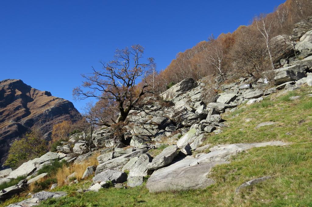 Hotel Pizzo Vogorno Bagian luar foto