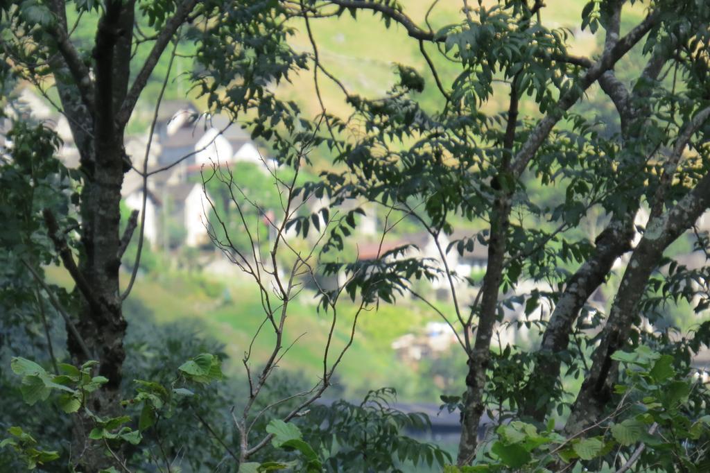 Hotel Pizzo Vogorno Bagian luar foto
