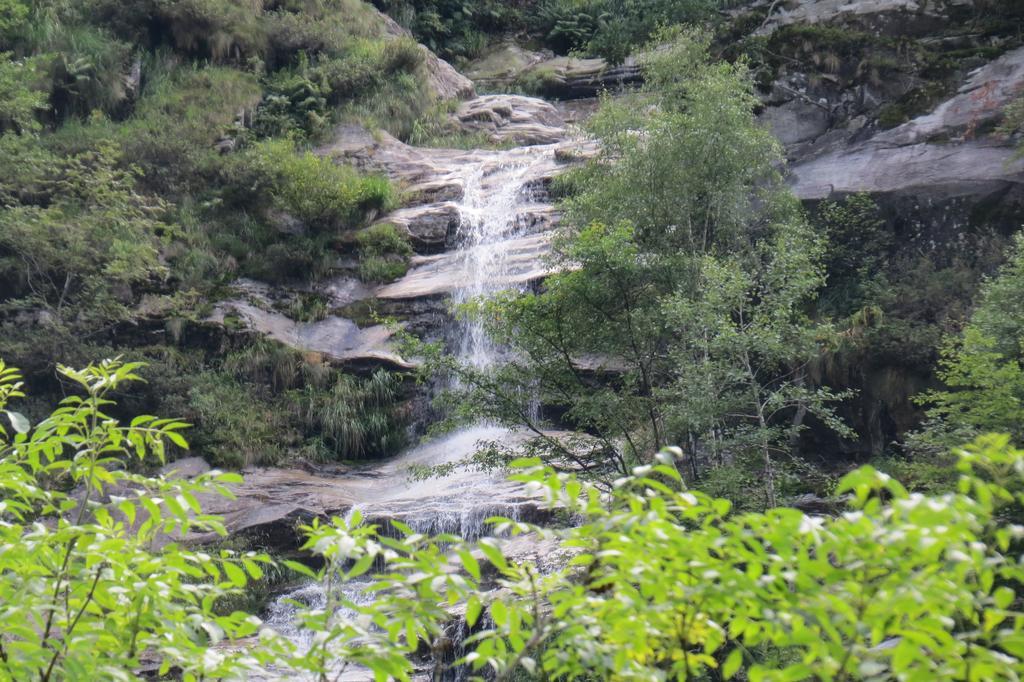 Hotel Pizzo Vogorno Bagian luar foto